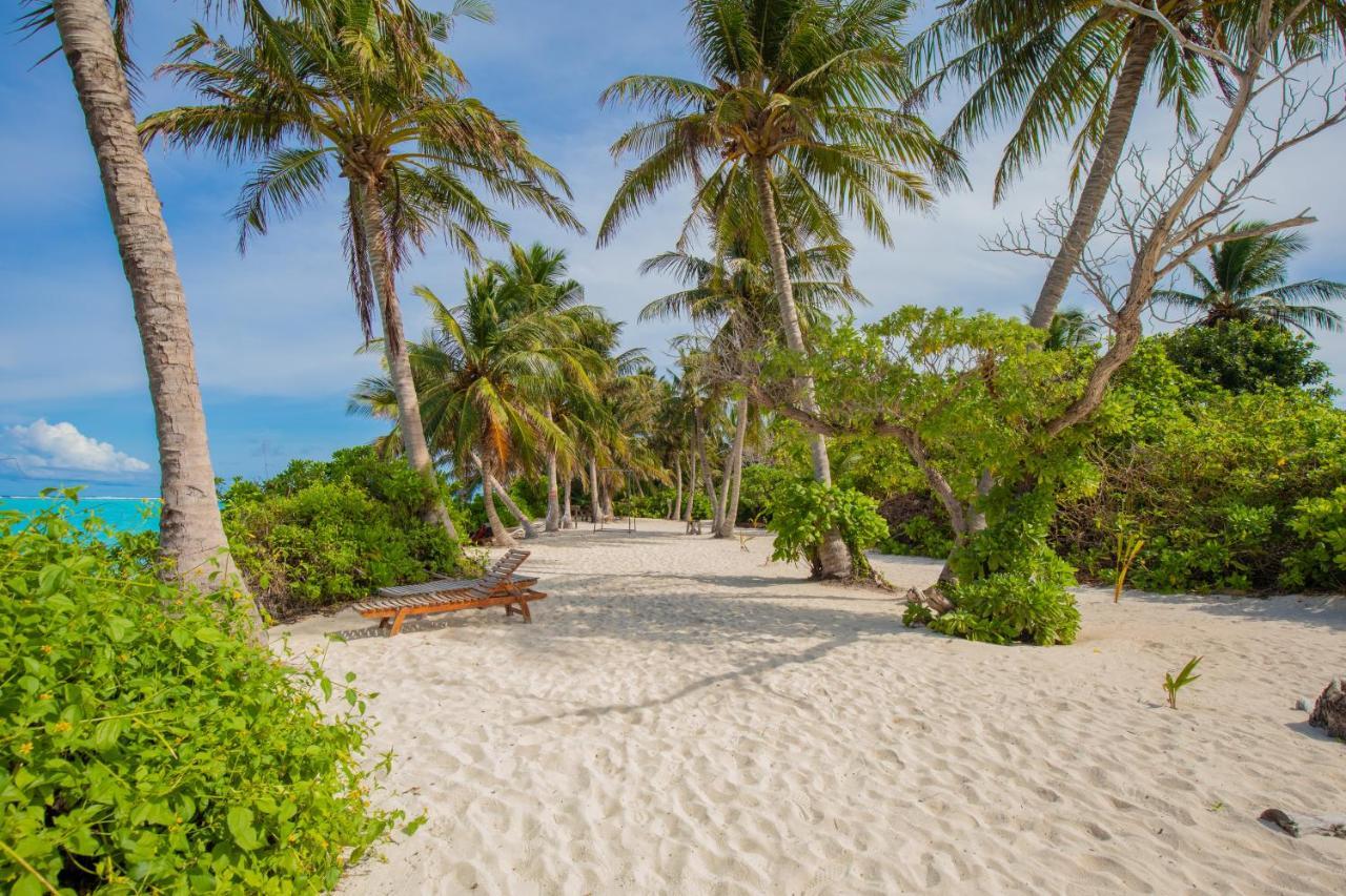 Jeym Lodge Thoddoo-Atoll Exterior foto